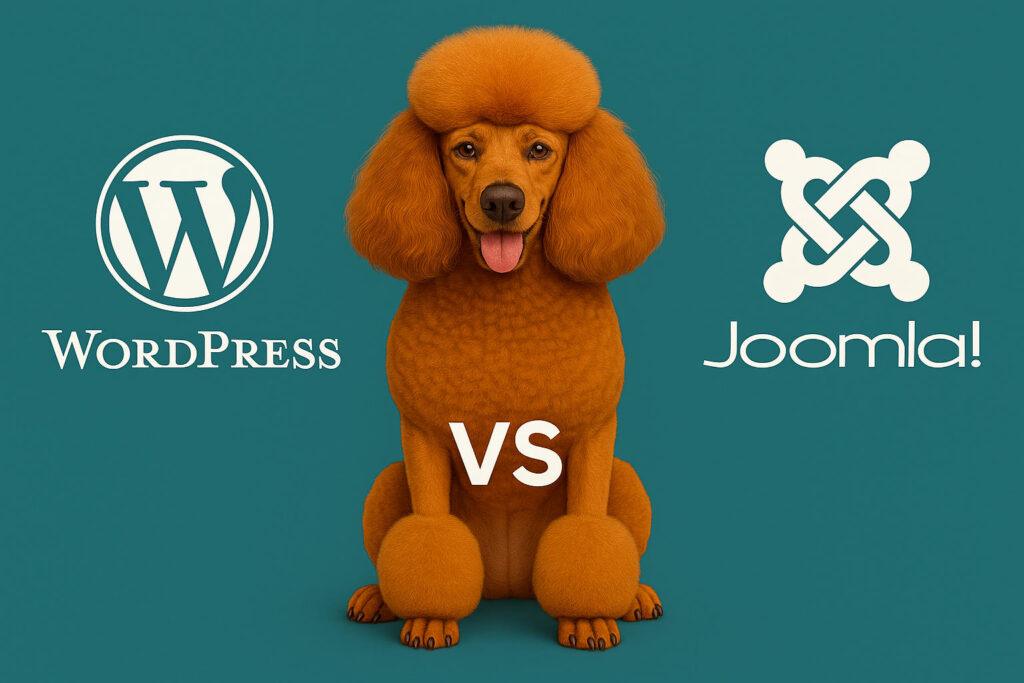 WordPress oder Joomla