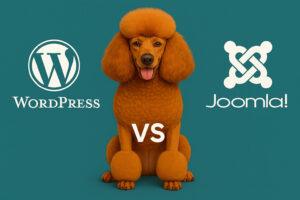 WordPress oder Joomla