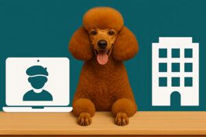 Agentur oder Freelancer