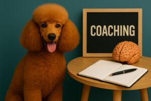 Webdesign für Coaches